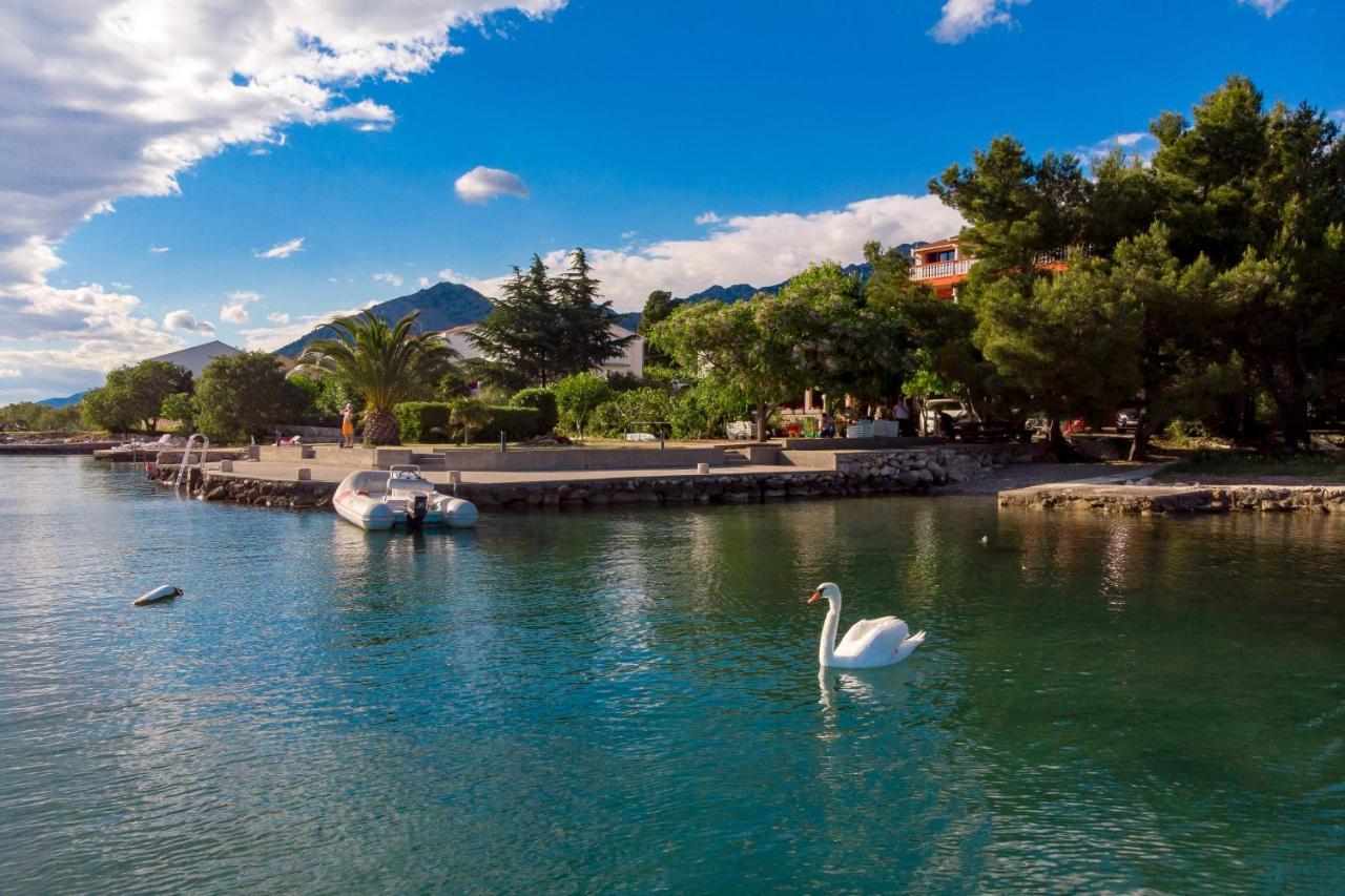 Hotel Pansion Kiko Starigrad Paklenica Exterior foto